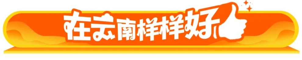 哈尼梯田深处，有一座“长”在稻浪里的书店丨在云南样样好