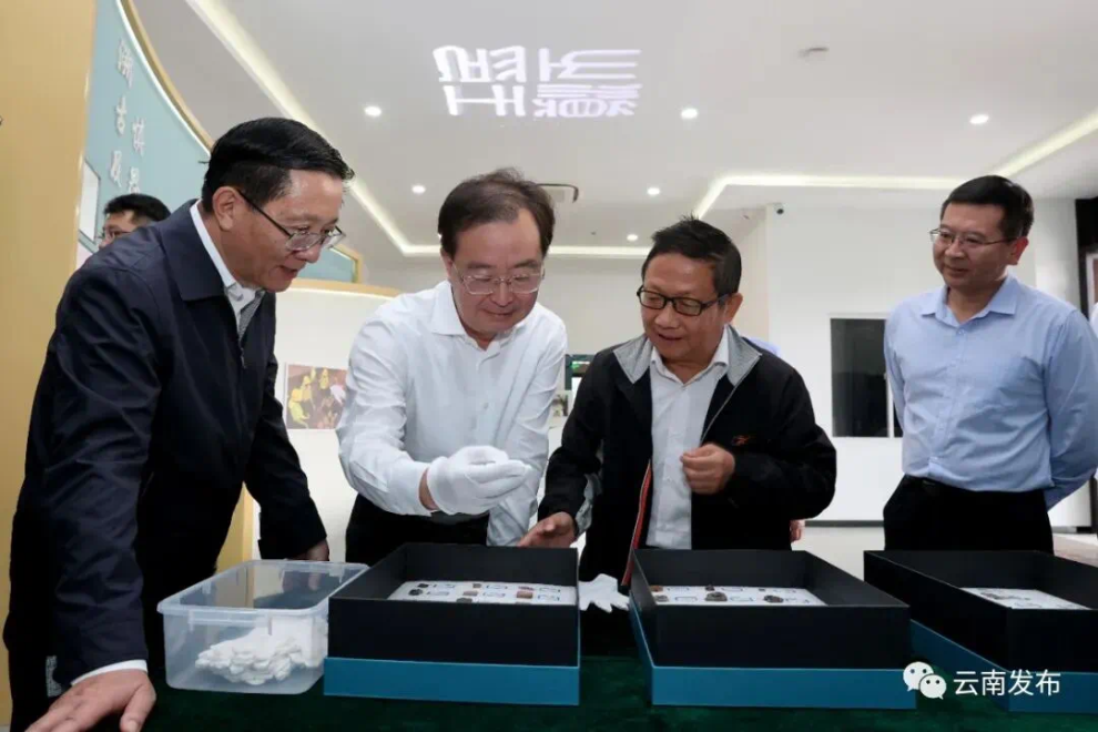 云南省委书记：推进文化强省建设不断取得新成效