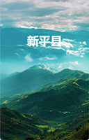 新平