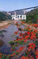 元江
