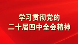 学习贯彻党的二十届四中全会精神