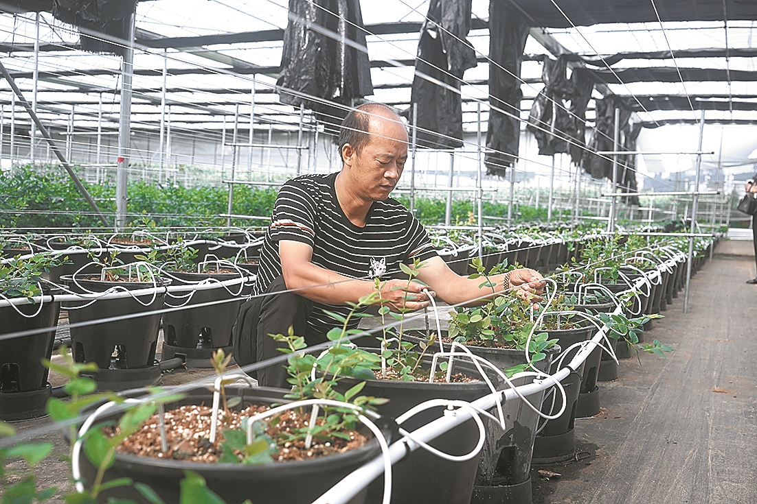 通海县项目攻坚按下“快进键”