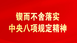 专题 锲而不舍落实中央八项规定精神