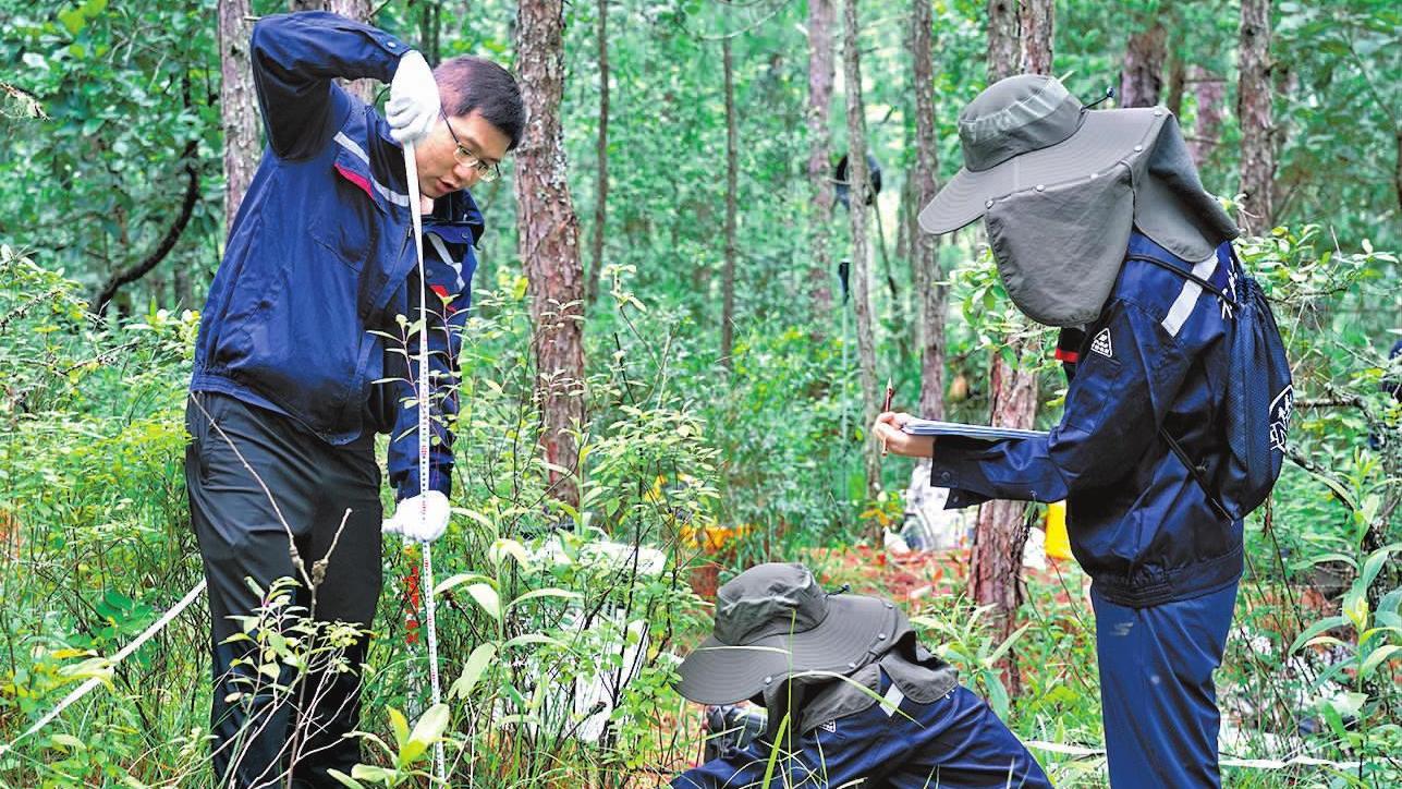 玉溪市开展生态质量样地监测  保护生物多样性筑牢滇中生态安全屏障