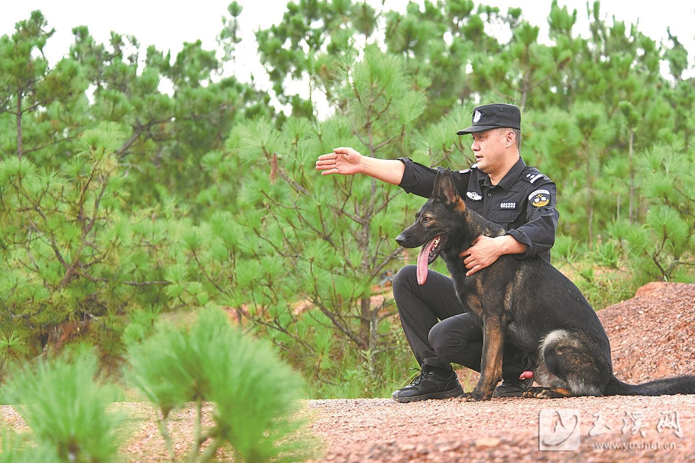 民警李素苇：让更多警犬成为守护平安的力量