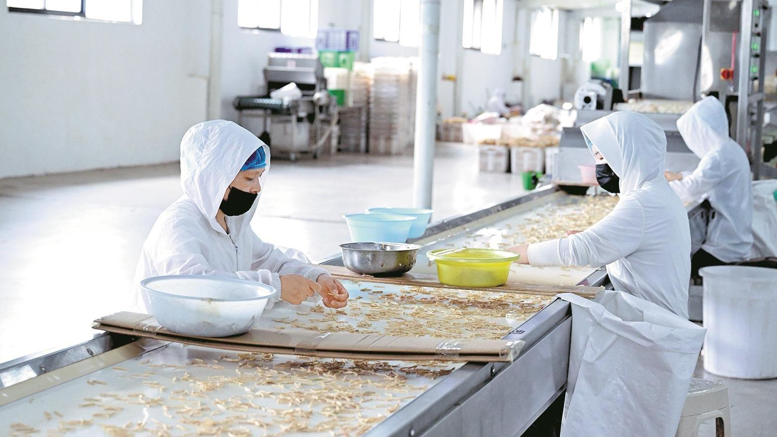 科技创新助力  蔬菜产业提质增效