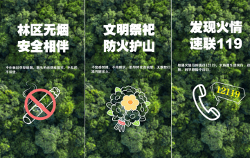 公益海报｜护林防火，警钟长鸣