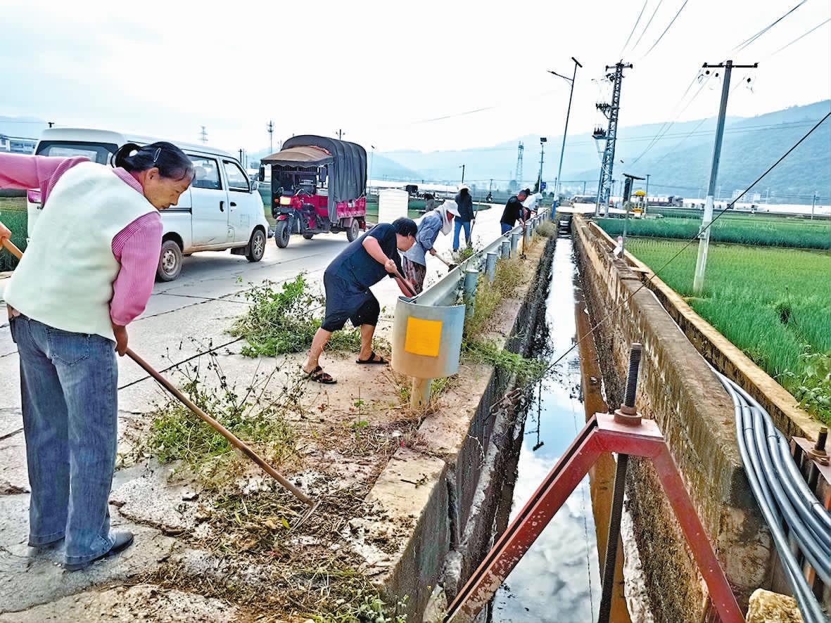 通海县：集中清河守护水清岸绿