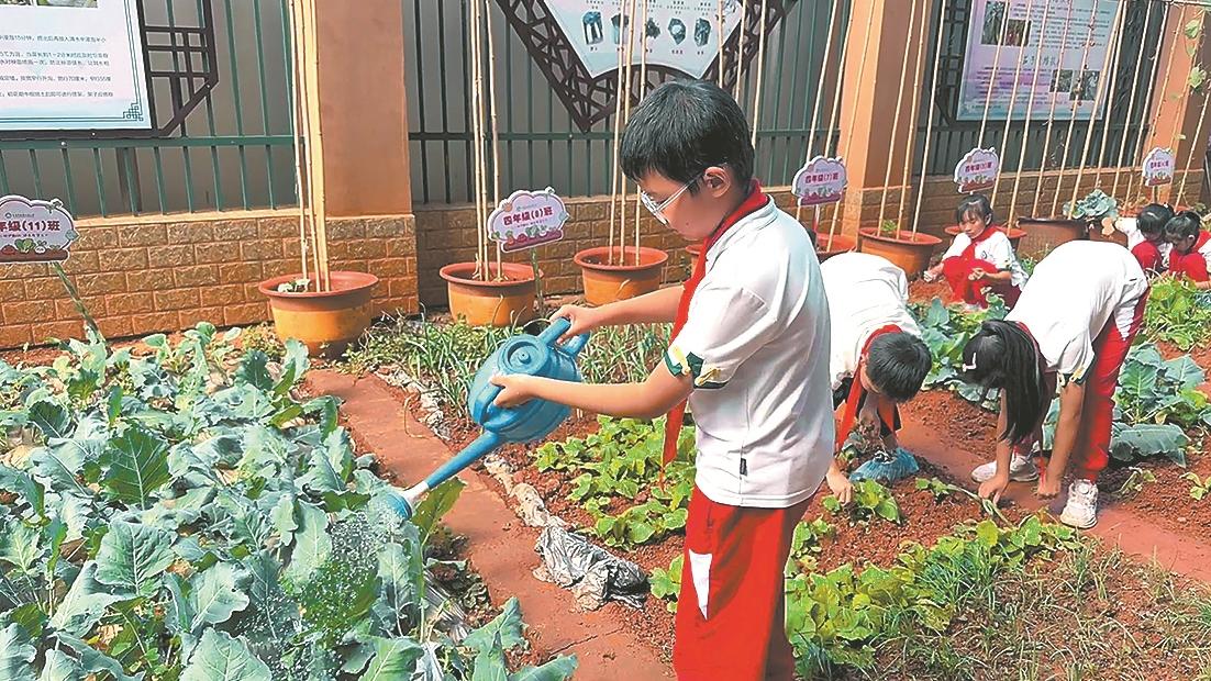 红塔区中小学生展示劳动教育成果