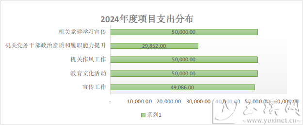 2024年度项目支出分布